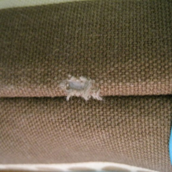 Rebekah Scott Purse - Picture 7 of 8